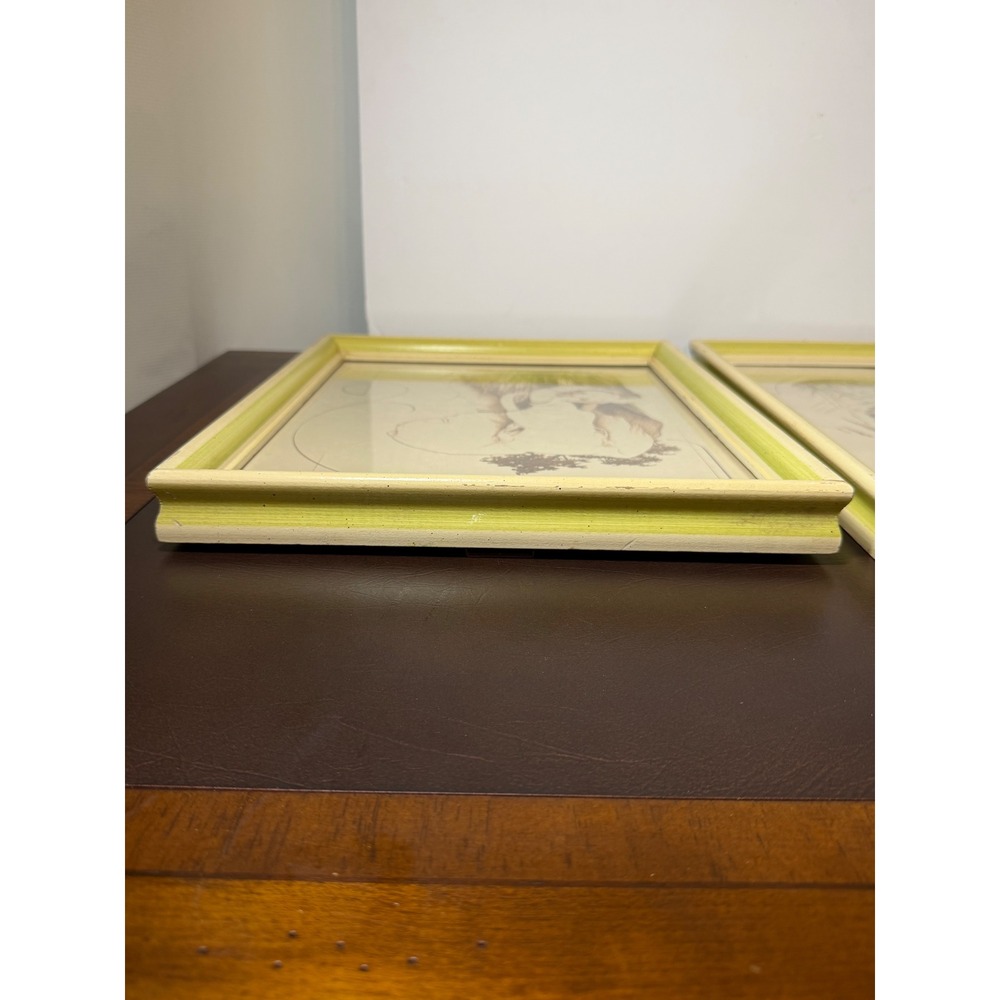 Vintage Tara Signed Wildlife Art Prints Set 2 Tiger Elephant Framed 11x13 Green - Picture 15 of 16